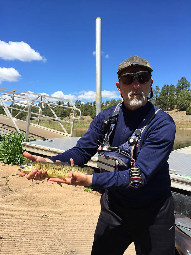 Apache trout caught at the Fool Hollow boat landing on a wooly bugger.