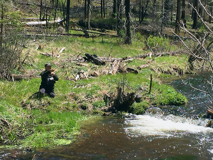 Fishing the upper reaches of the Little Colorado