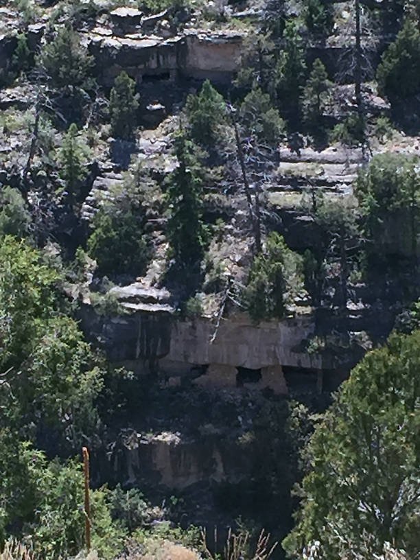 Cliff dwellings at Walnut Creek.