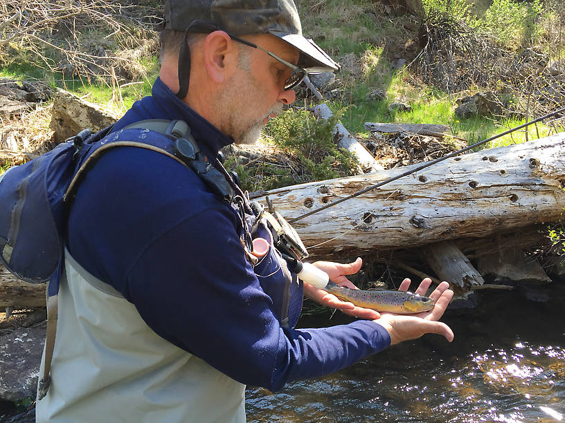 A West Fork of the Black Brown.