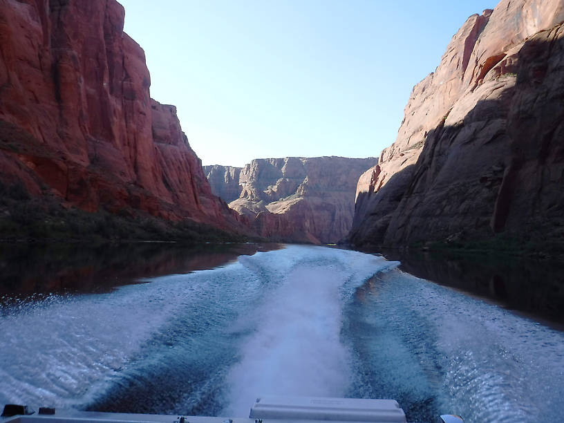 Our final fishing, up the the dam above Lee's Ferry, with guide Jeff English.  If you go there, go with Jeff, get to the landing at 6:45, and fish on Sunday.  The Lee's Ferry Anglers website will give you a sense of why to do this.  Jeff is a superb guide, a bit of a curmudgeon, who really knows his stuff.  If anyone can put you onto big fish there, Jeff can.