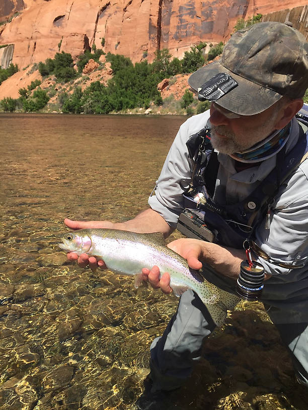 Jeff estimated this one at 19"; I had another take me downriver fast.  After I followed it as far down as the shore would let me, it popped the 6X like thread.