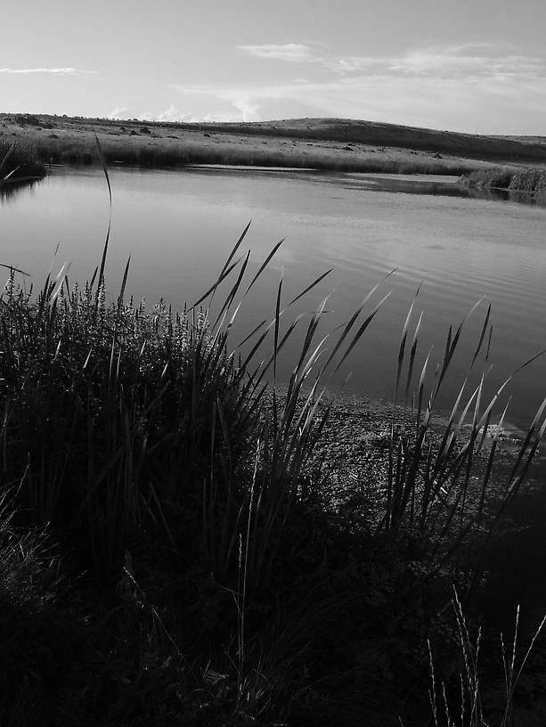 A sworn to secrecy location that was filled with HUGE trout.

Huge difficult trout--as I in I hooked ONE--and it was a freight train that was gone in a matter of seconds after taking a size 18 caddis emerger...