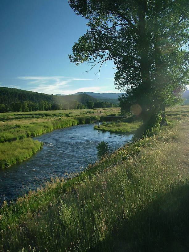 Too warm to fish really well...  Best fished further upriver and in the fall