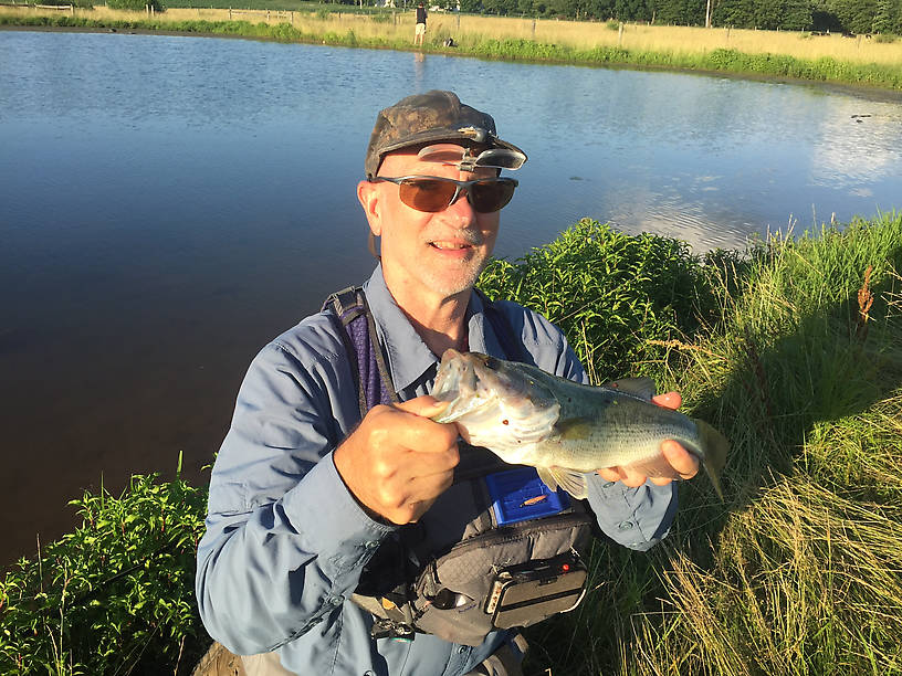 A farm pond bass, caught on a Whitlock hare water pup.