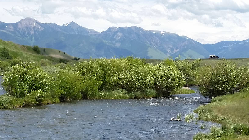 A side channel of the upper Madison near Three Dollar Bridge