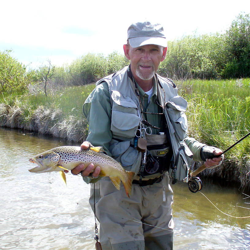 16" brown on a PT nymph