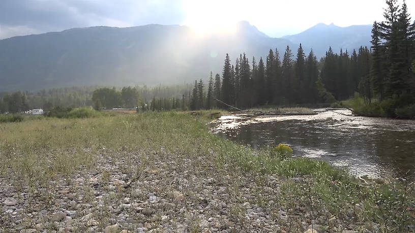 We fished in August above Sparwood BC and found a nice braided area with small channels where we actually found the biggest fish. 

Watch video at https://youtu.be/f_WDPdD2Ty8