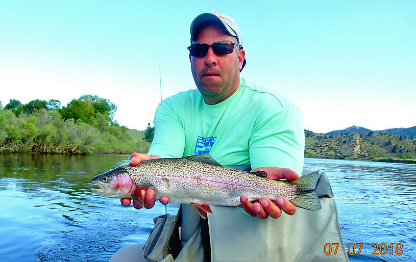 20" Rainbow