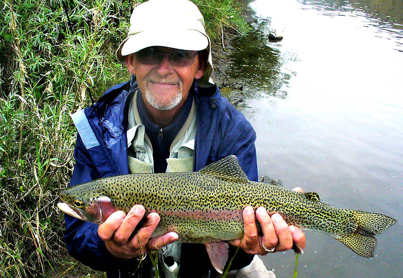 20" Leopard Rainbow