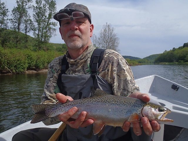 Delaware rainbow