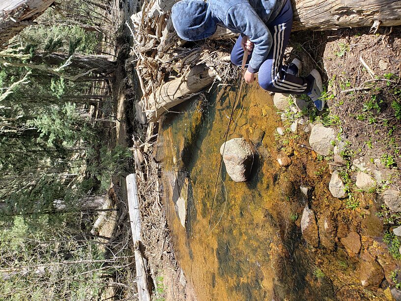 He picked this spot himself and got a little one to take the worm out from under the log.