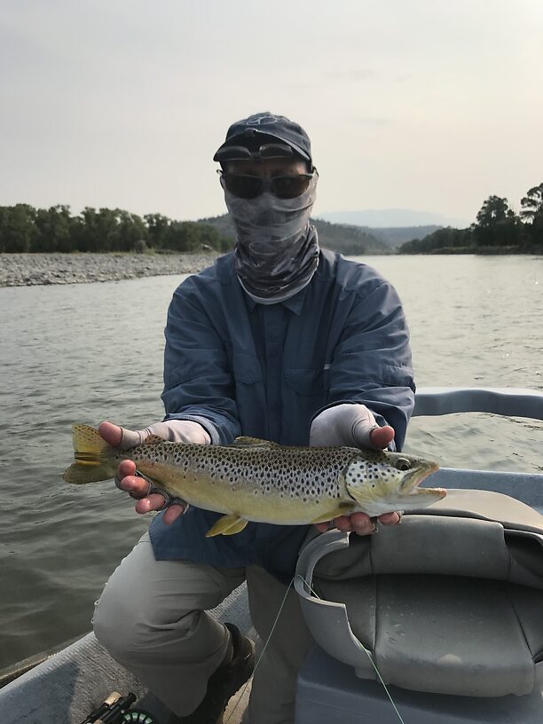 Yellowstone Brown