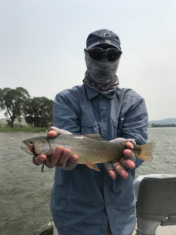 Yellowstone Cutthroat.