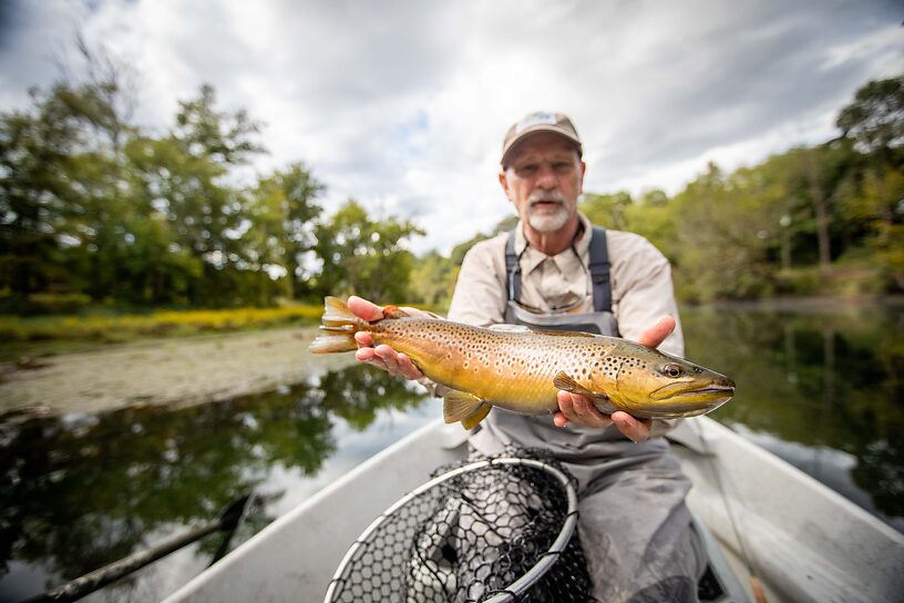 21" resident male brown.