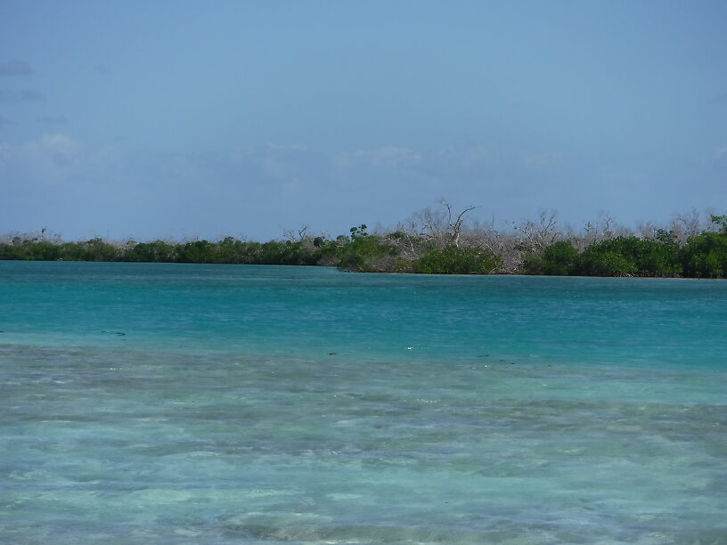 The Flats and Deep Water Beyond