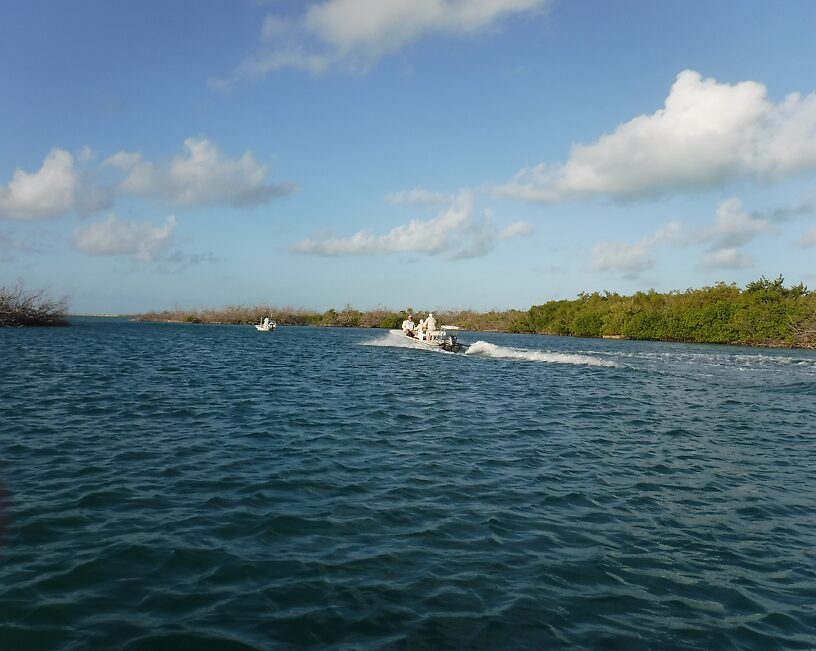 Skiffs in the Morning