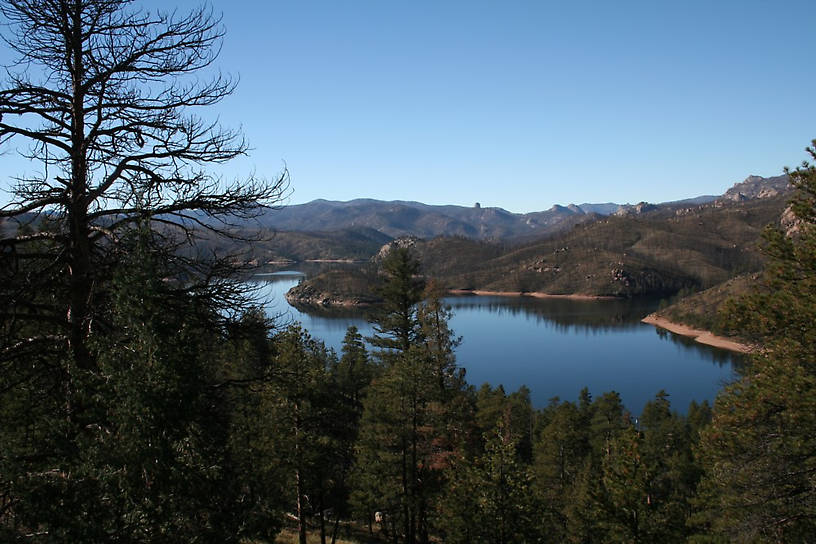 This is a picture of Cheesman Resevoir ther are burnt trees as far as the eye can see from the Hayman Fire