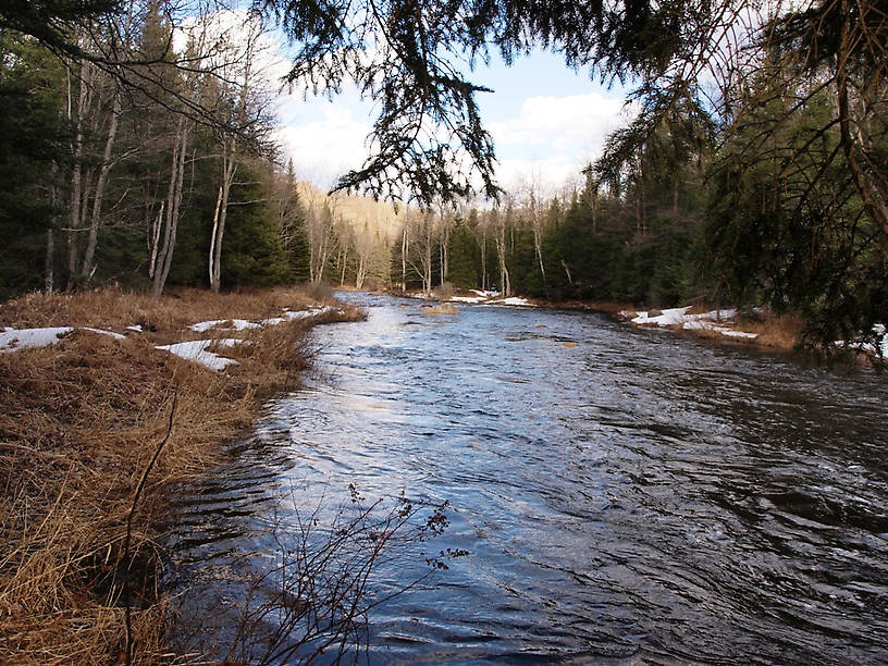 A stretch of river upstream the big pool