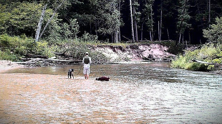 Fishing the Pine River (with some help from my two dogs)