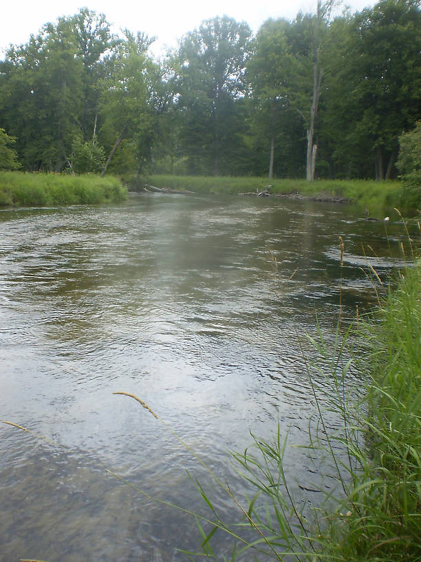 A typical run of the Pere Marquette near our camp.