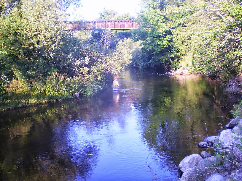 This little river was full of brook trout (and some browns)