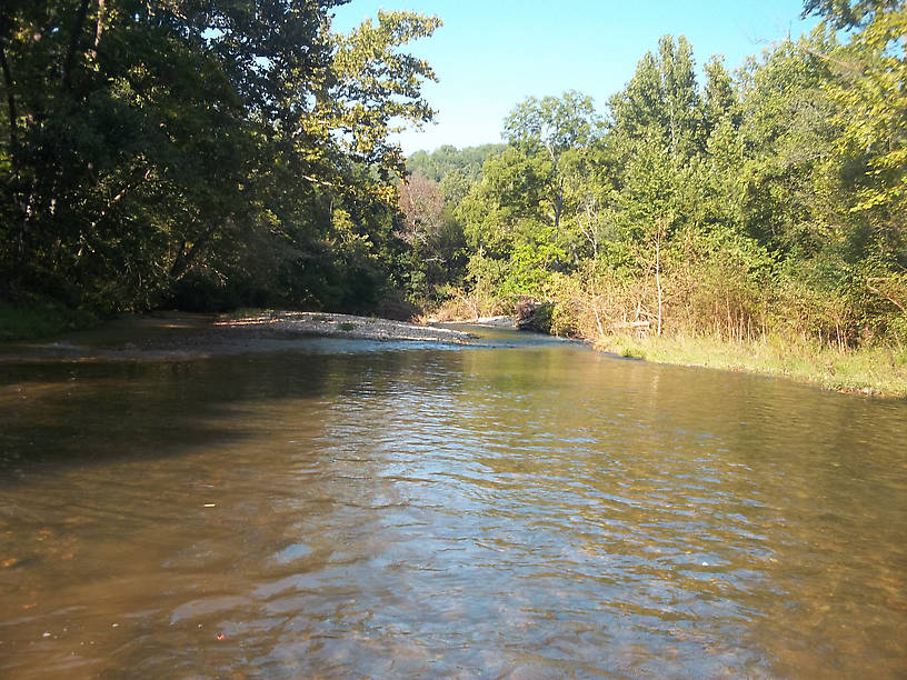 The Blue Ribbon water on the Current River. It is full of brown trout, but midday during a summer heat wave isn't the best time to find them.