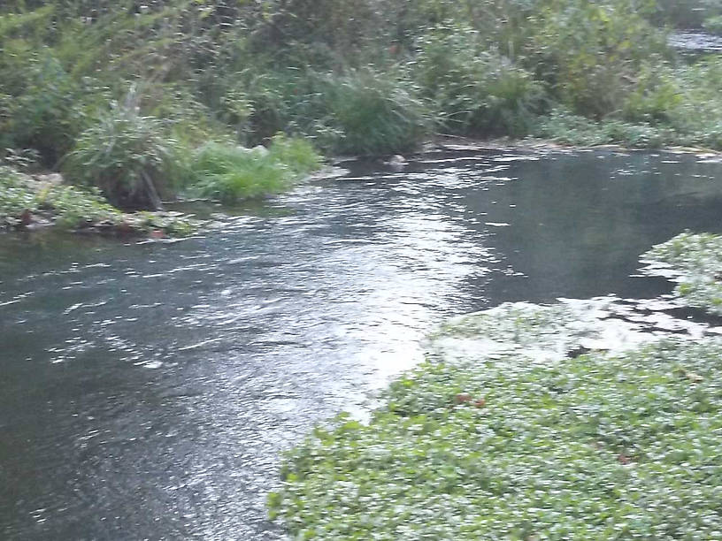 Sorry for the low quality photo.....but this is the catch and release stream in Montauk State Park.