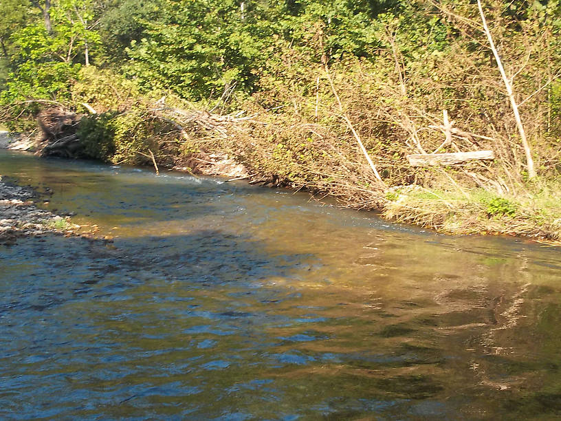 A side channel on the Current's Blue Ribbon section