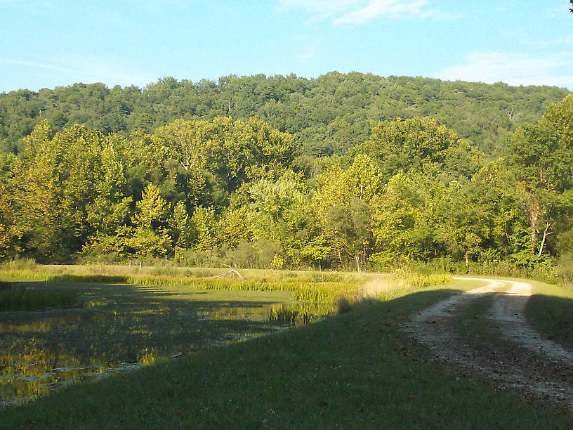 The Ozark hills rising above the swampy waters of a spring-fed pond