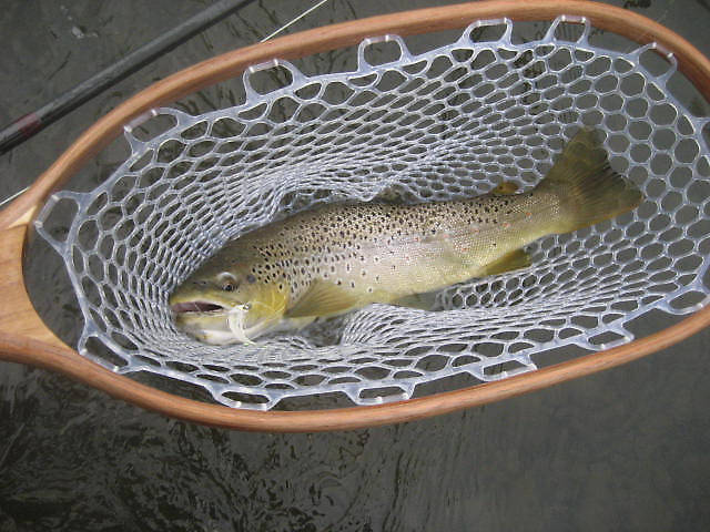 Another very nice streamer caught brown of about 18".