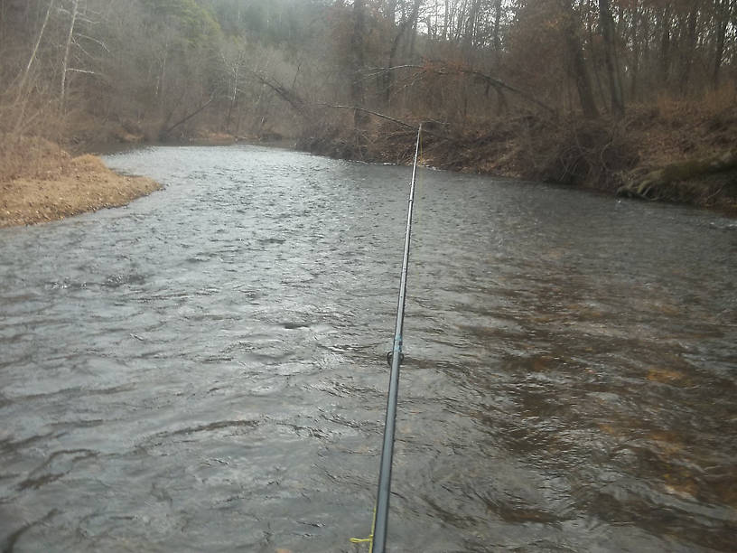 A nice riffle on the Current River. It's usually good for a rainbow or two, and the beautiful, pine covered hill that rises above it makes it an ideal place to wet a line .