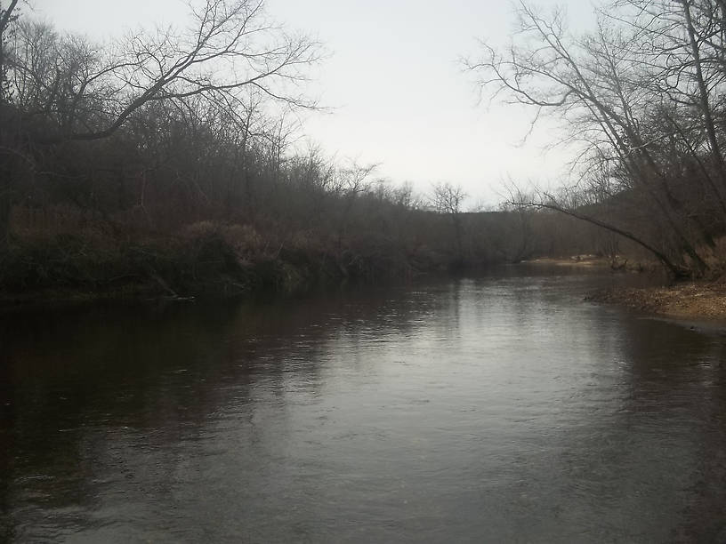 This brush lined pool always looks great, but seems to have a rather high chub:trout ratio.