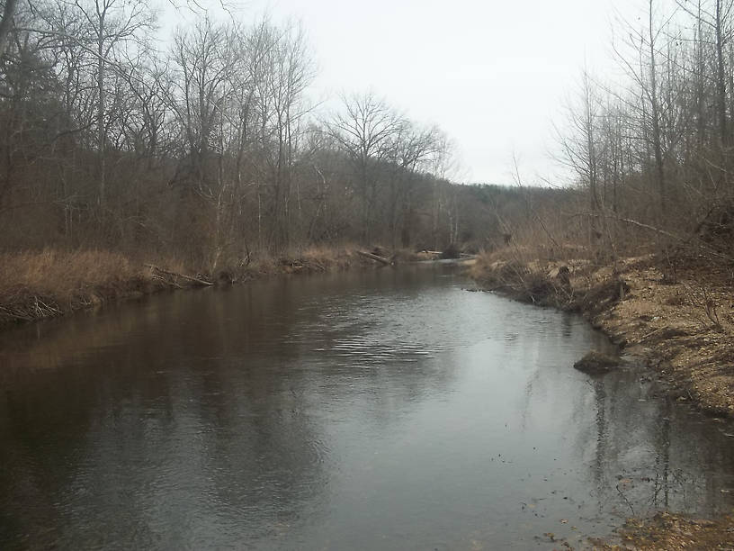 In this stretch, the Current looks very much like the oversized spring creek that it is. 