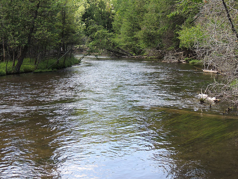 A view downstream from our campsite...I woke up to this every morning!