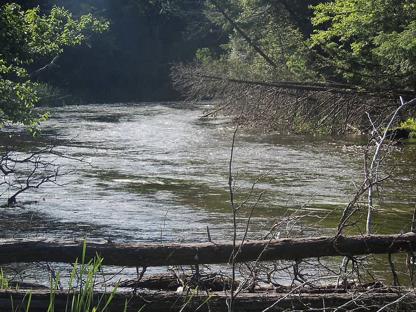 Upstream, lots of wood...