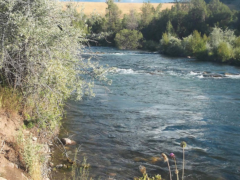 The Uncompahgre looking up at Ridgway Dam