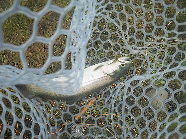 A little rainbow taken from a pond within Ridgway State Park