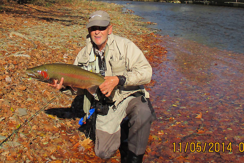 A beautifully colored up buck with a big hook jaw.