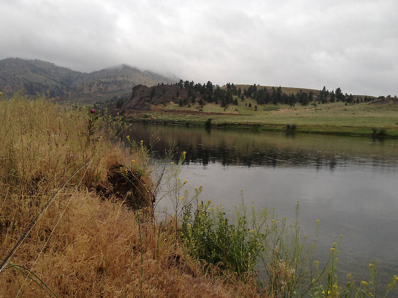 Crappy cold day on the river - no rising fish.