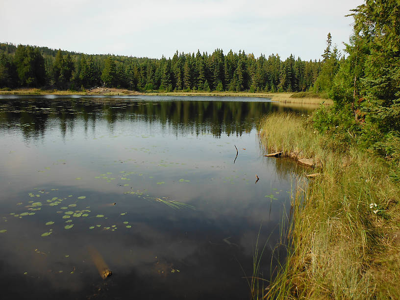 Hidden Lake, supposedly home to brookies but none came out to play for me...