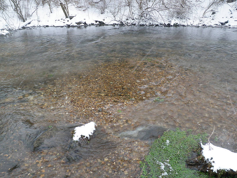 Beautiful spawning bed.