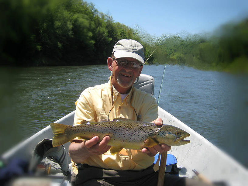 19" on a #18 Blue Quill dun.  Fish was rising 5' off the bank and the boat was only 10' off the bank.  I basically flipped the fly over the side and the fish came up & grabbed it!