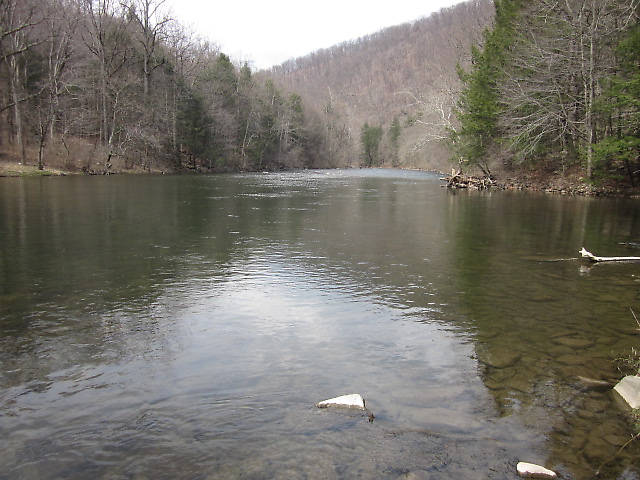 Nice pool near where Tony caught a few.