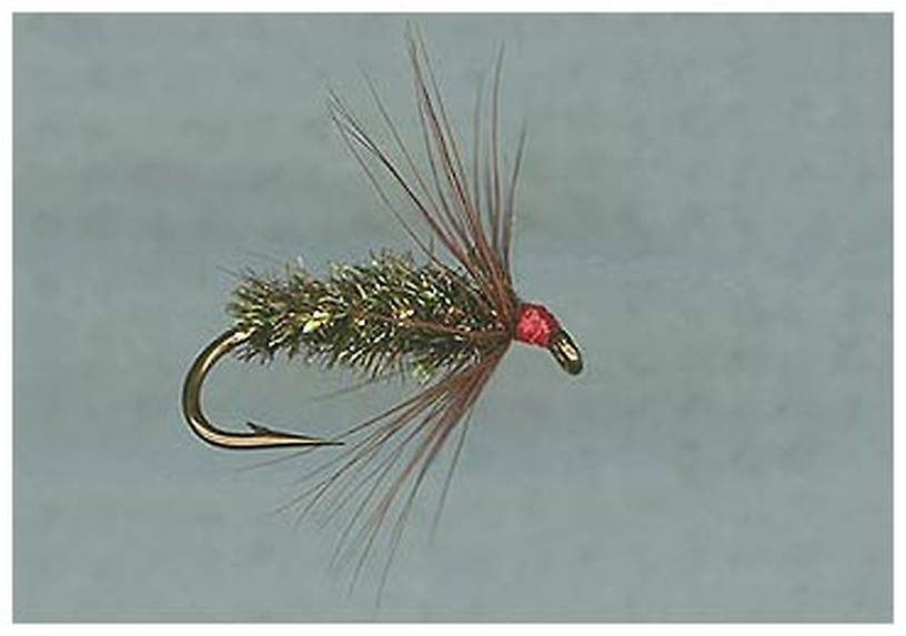 Red Hackle