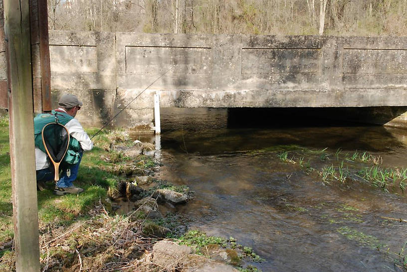 Old bridge over the Letort...Don't let the gray in his beard fool you, this boy is 12 at this moment. :)