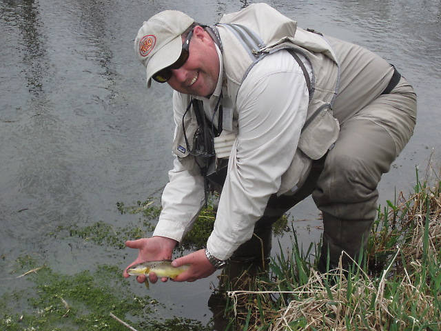 Nice buttery little Brown.