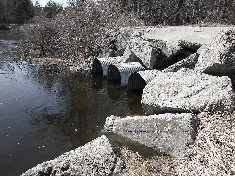 The Au Sable is up!  There will be some steelhead stuck in this little creek soon...