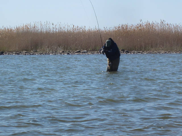 A fishing friend, George, wading in the bay.