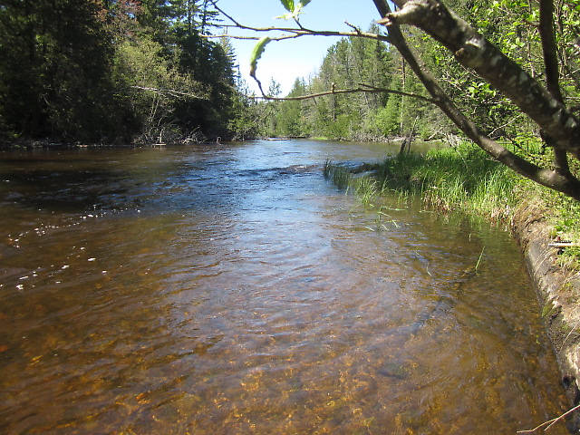 Mainstream Au Sable...The Holy Water.